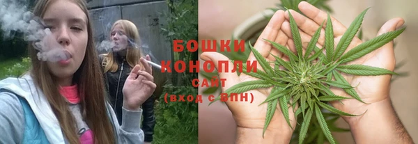 бошки Няндома