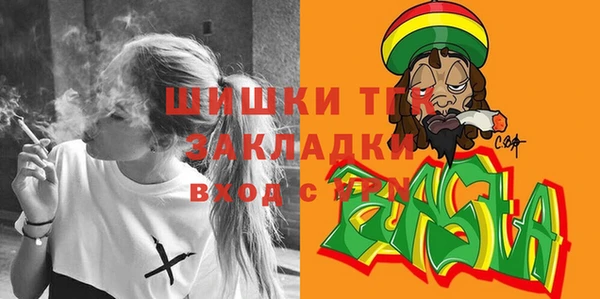 не бодяженный Заводоуковск