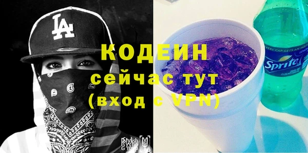не бодяженный Заводоуковск