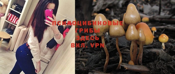 бошки Няндома