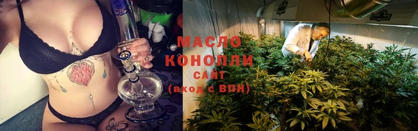 бошки Няндома
