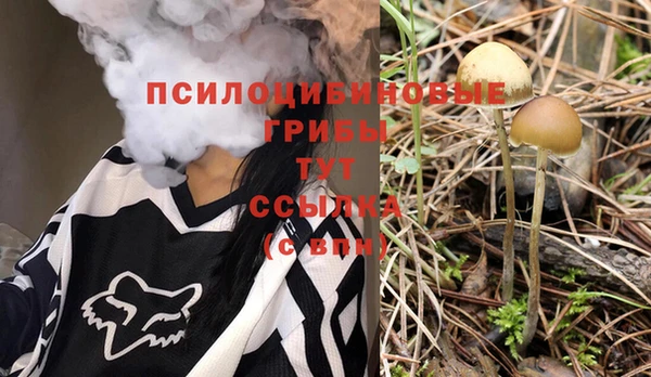 кокс Нягань